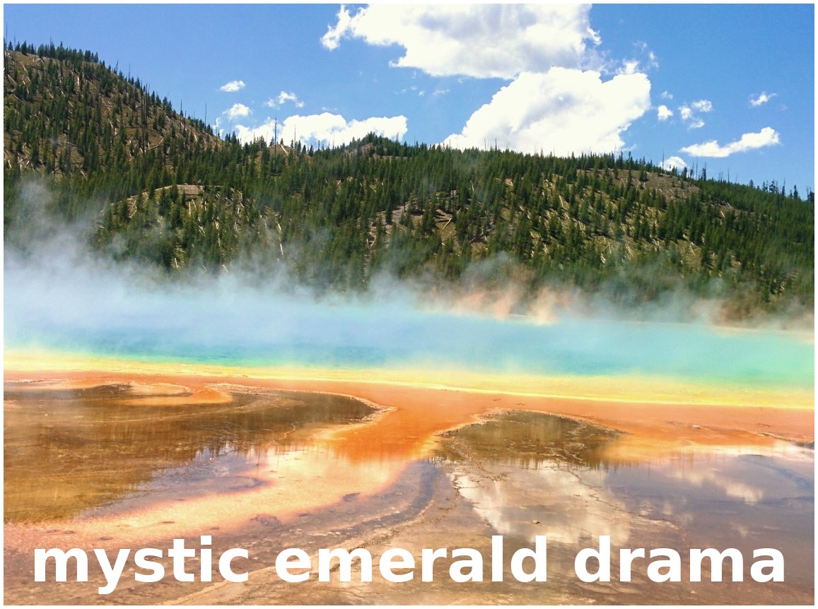 _images/dark_%26_moody_mystic_emerald_drama.jpg