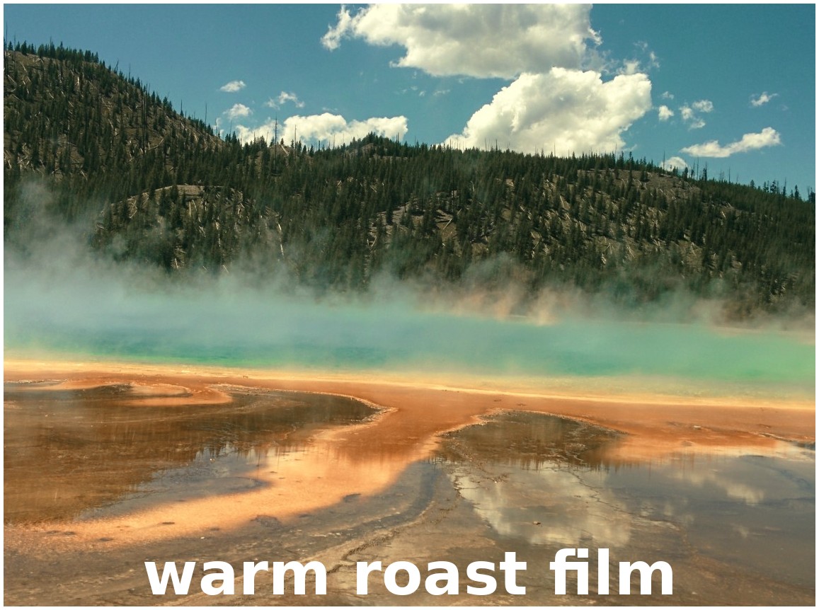 _images/film_stock_%26_vintage_warm_roast_film.jpg