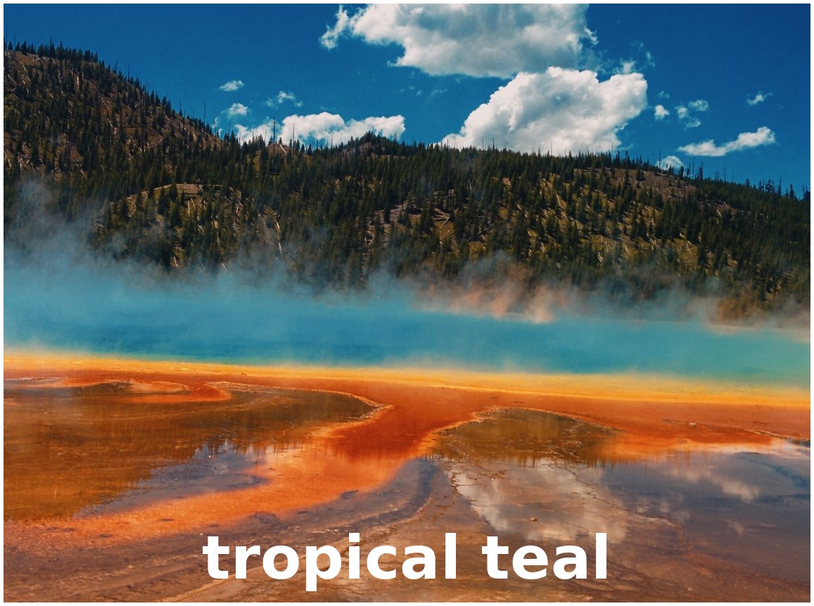 _images/teal_%26_orange_vibes_tropical_teal.jpg