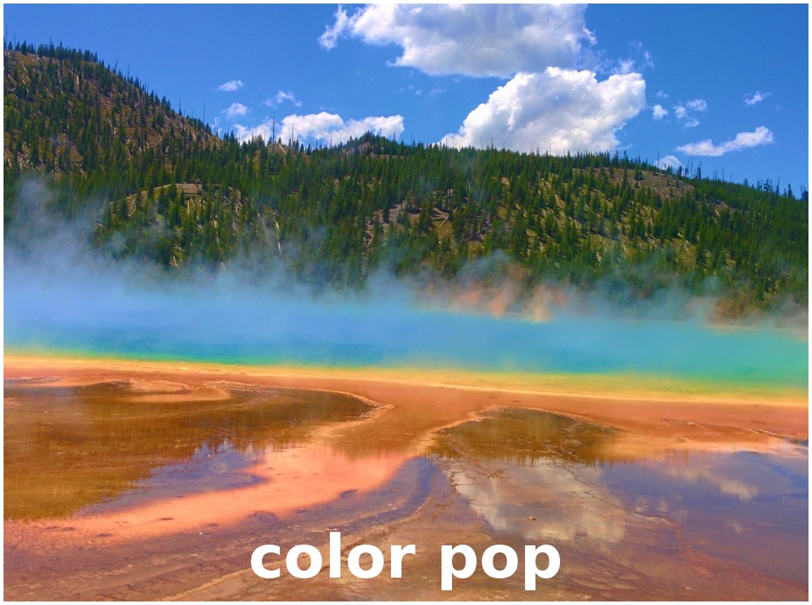 _images/vibrant_%26_colorful_color_pop.jpg